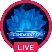 Kelebihan dan Fitur Aplikasi cendana777 Terbaru